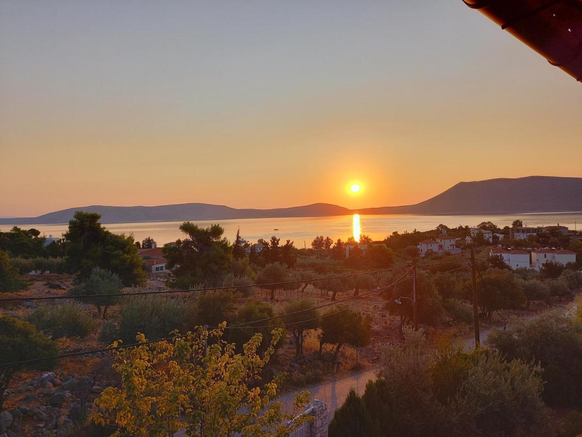 Villa Chelidonia Steni Vala Alonissos Esterno foto