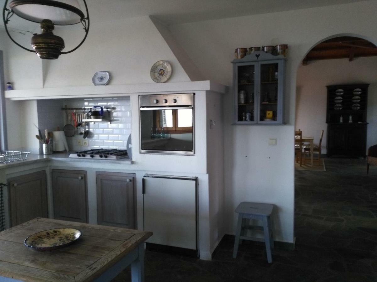 Villa Chelidonia Steni Vala Alonissos Esterno foto
